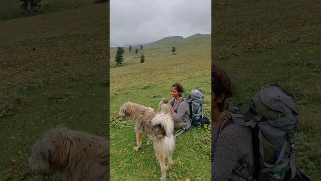 Trekking to Bhrigu Lake! Поход на озеро Бригу. Гималаи.