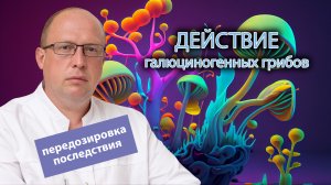 ? Действие галлюциногенных грибов - передозировка, последствия ⚠️