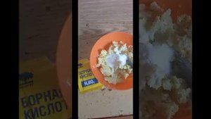 Как приготовить отраву для тараканов.