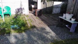 Venta Электроника УАУ-02