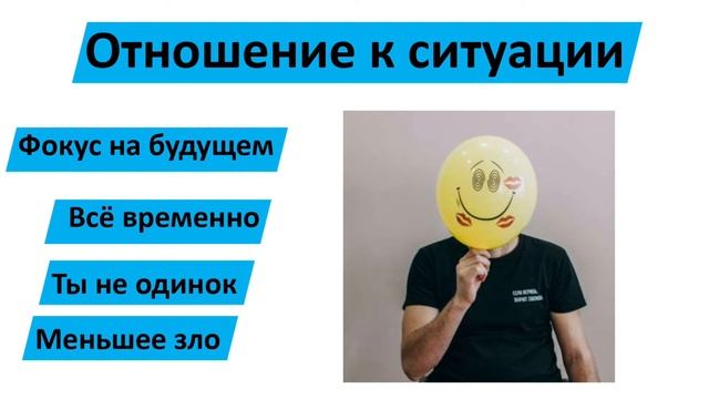 Жизнестойкость: Как пережить кризис и найти возможности / Дмитрий Чешев