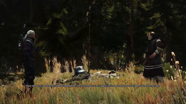 The Witcher 3: Wild Hunt. СКЕЛЛИНГЕ заказы. СЕРДЦЕ ЛЕСА (ЛЕШИЙ ЖИВ). смотреть онлайн