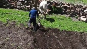 10.05.2022 село фий