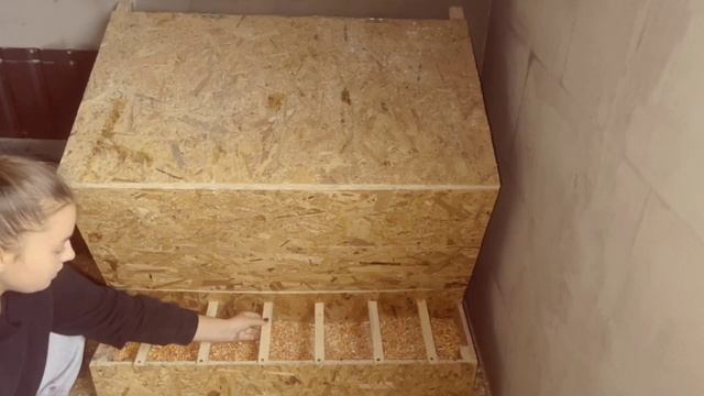 Бункерная кормушка для птиц - какие преимущества она имеет?