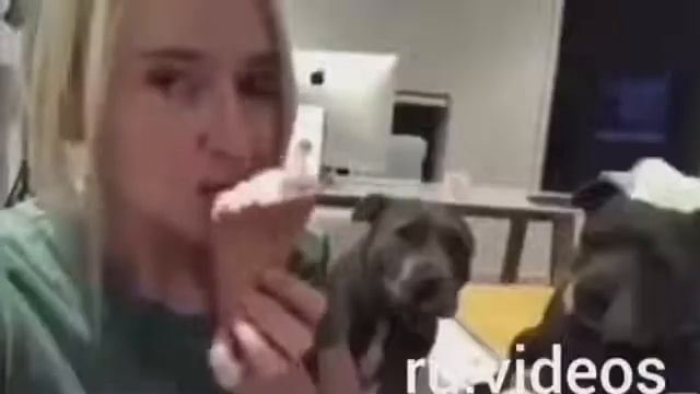 Самые смешные животные!!! Приятного просмотра. смотреть онлайн