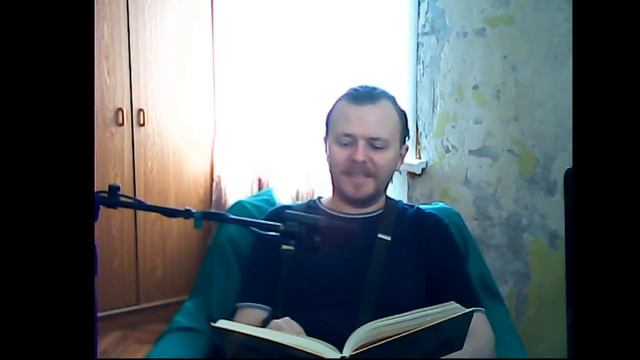 Слушаем и отдыхаем - Чудесное путешествие Нильса с дикими гусями. смотреть онлайн