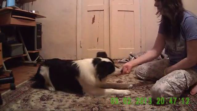 Занимаемся с Айкой, смотреть онлайн