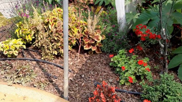 Inspiração para Jardins no 16º Festival Internacional de Jardins - Ponte de Lima смотреть онлайн