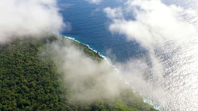 100 миллионов крабов на тропическом острове. Самая большая миграция крабов в мире. смотреть онлайн