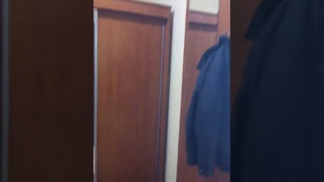 Гостиница соболь Верхотурье