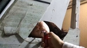 #8½ — как поступить во ВГИК на режиссуру на бюджет