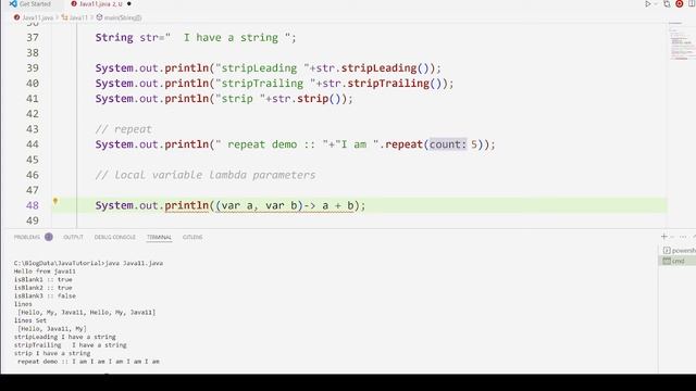 Java11 Practical Guide