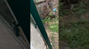 Не повторяй мои Ошибки при монтаже забора в бетонную ленту ! Полезно знать каждому мастеру