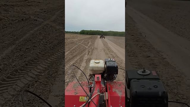 walk-behind tractor in motion