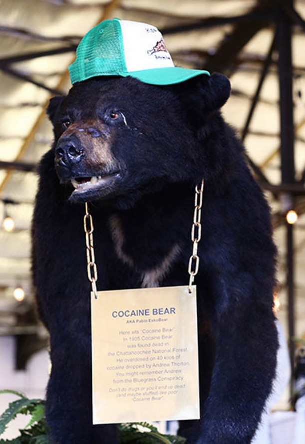 Кокаиновый медведь *Трейлер * Фильм 2023 смотреть онлайн