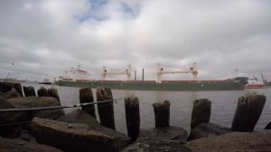 Ловля плотвы на Калининградском морском канале