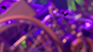 SUMMER demo CARANTINE_Sokolovsky & Vrachinsky_prod._