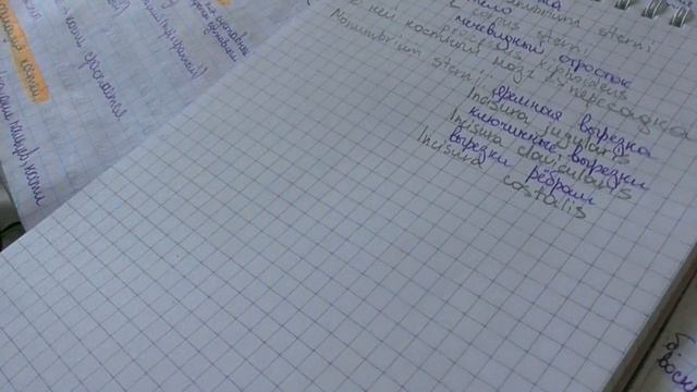 ПЕРВАЯ НЕДЕЛЯ В МЕДИЦИНСКОМ УНИВЕРСИТЕТЕ смотреть онлайн