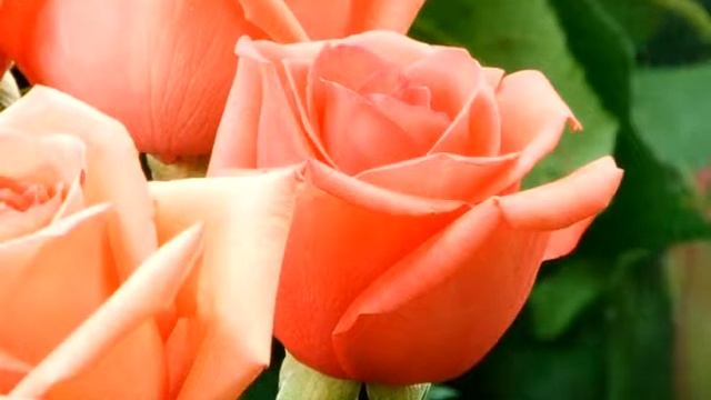 Головная боль мужчин приближается (Братск) смотреть онлайн