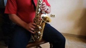 Amati Super Classic Alto Sax Saxophone + Case + Extras 178488