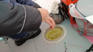 Зимняя рыбалка на подлещика. Белгородское водохранилище.