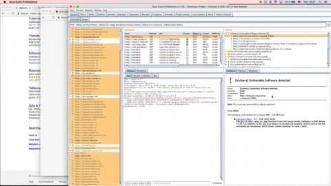 Burp Suite scanner plugin based on Vulners.com database