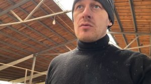 ЗАЧЕМ КОРОВЕ ПУТЫ?