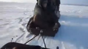 Разгуляй 9 комфорт