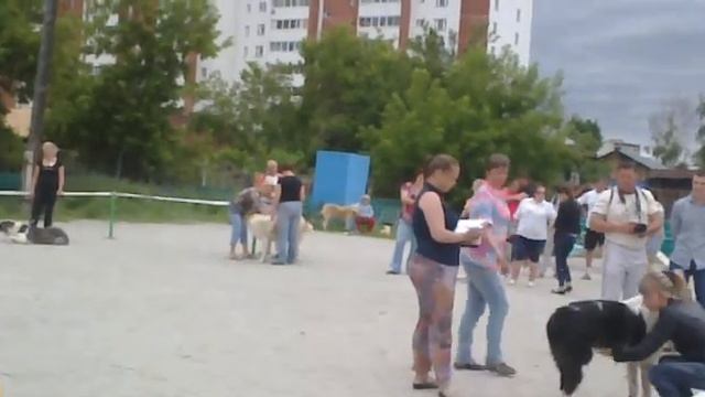 племсмотр САО Екб, эксперт Ульянова Ю., часть 2 смотреть онлайн