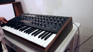 Korg Mono/Poly Demo - Polyphonic Sequence
