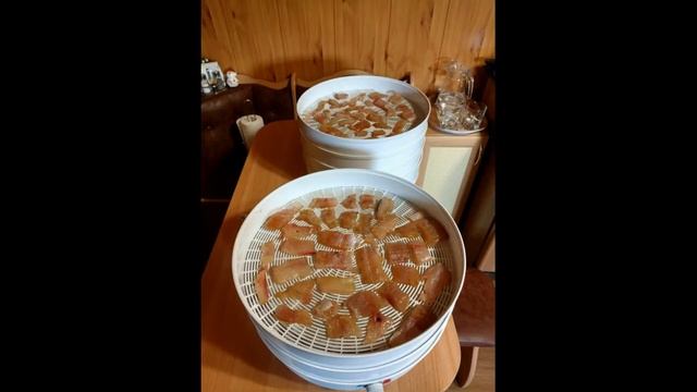 Вялить рыбу лучше всех! смотреть онлайн