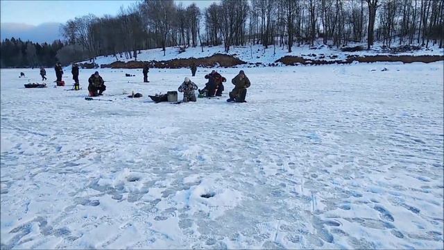 Обед! Форель активна! Клевое место, д. Савельево смотреть онлайн