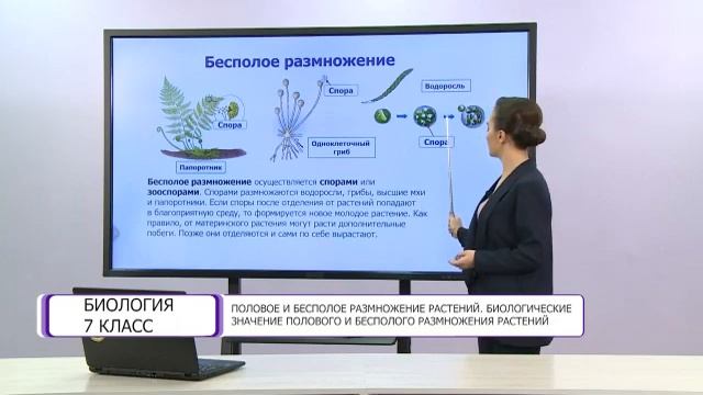 Биология. 7 класс. Половое и бесполое размножение растений /16.04.2021/ смотреть онлайн