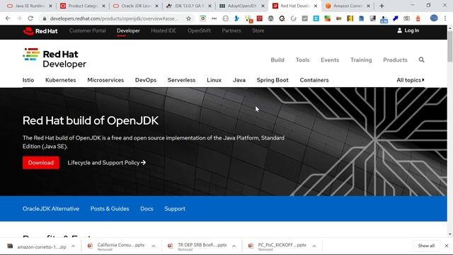Oracle JDK alternatives - AMAZON CORRETTO | Free JDK Options смотреть онлайн