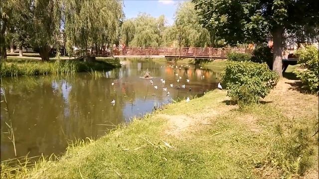 Пернатые жители озера Кагального смотреть онлайн