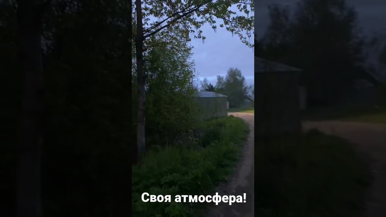 Застукал за гаражами, чудо трель соловья! смотреть онлайн