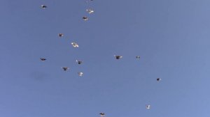 В память Мысютина Юрия Ивановича вечная память пусть земля будет пухом