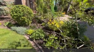 Обзор сада в английском стиле