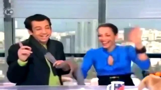  видео приколы с животными
