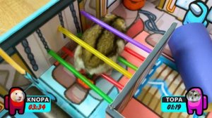 Секреты игры Among Us | Как хомяку, найти предателя в лабиринте Among Us