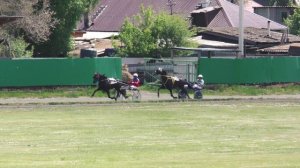 1.06.2024г. Абаканский Ипподром лошади 3-х лет рысистых пород 1600м