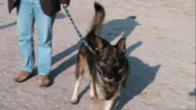 Mini,Midi,Maxi смотреть онлайн