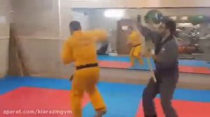 sin moo hapkido iran master kermani