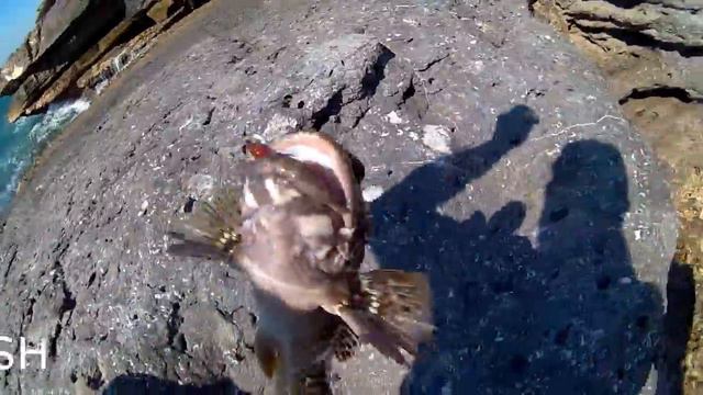 MUSANDAM OMAN FISHING смотреть онлайн