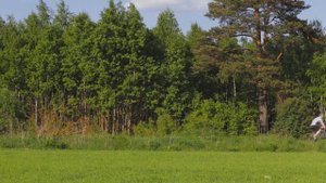 Merida cyclo cross 300 обзор велосипеда. Часть 2.