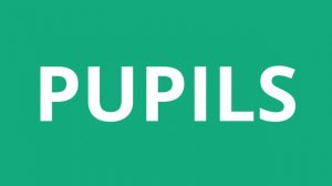 How To Pronounce Pupils - Pronunciation Academy