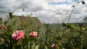 Нязепетровск. Катайская гора.