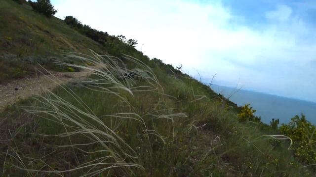 Прогулка с папой 6 - В Балаклаву за чабрецом смотреть онлайн