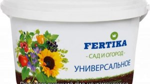 Томат Розовый лидер