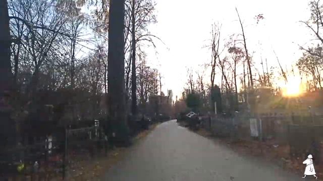 как пройти к могиле Александра Зарецкого